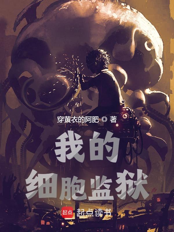 我的细胞监狱小说封面