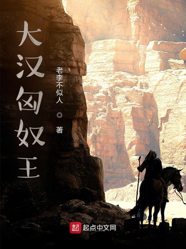 大汉匈奴王 封面