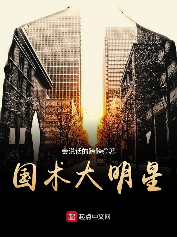 国术大明星 封面