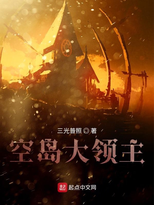 空岛大领主 封面