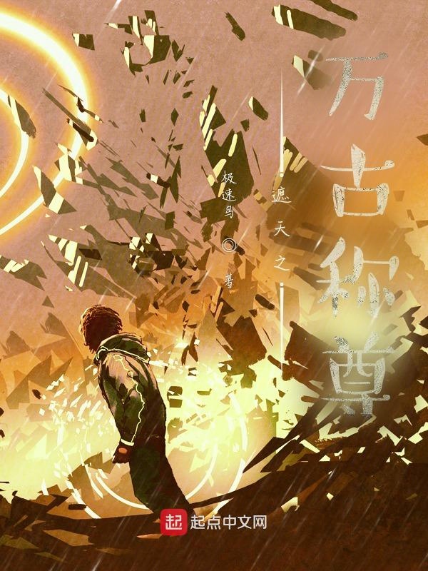 遮天之万古称尊 封面
