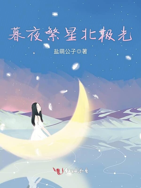 暮夜繁星北极光