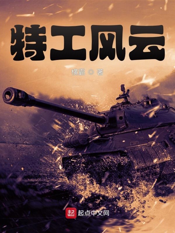 特工风云 封面