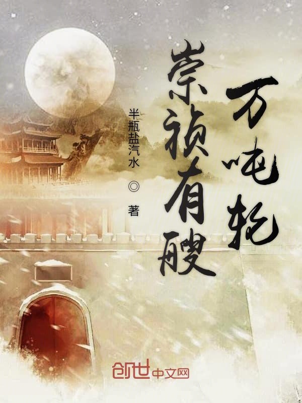 崇祯有艘万吨轮 封面
