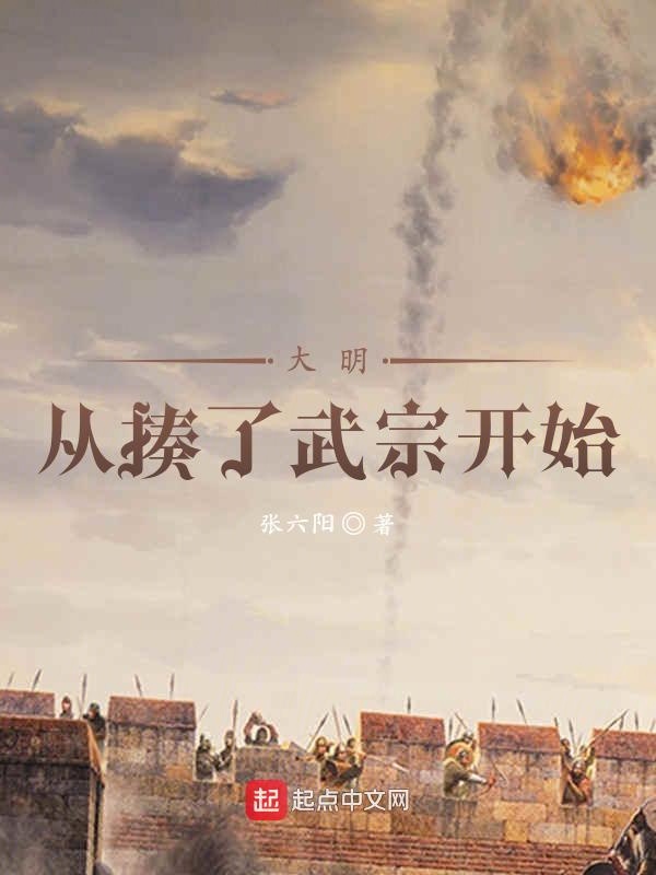 大明从揍了武宗开始 封面
