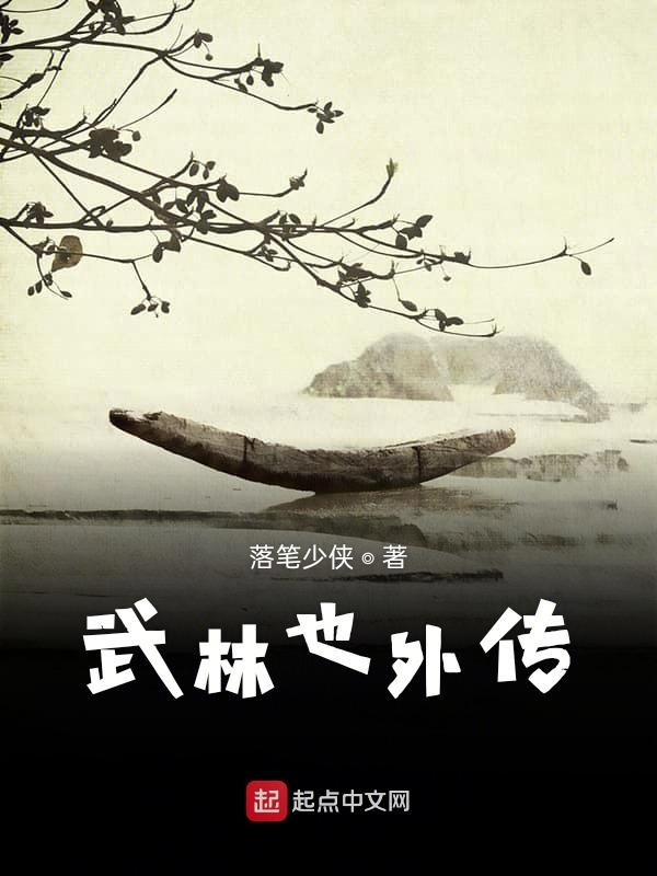 武林也外传 封面