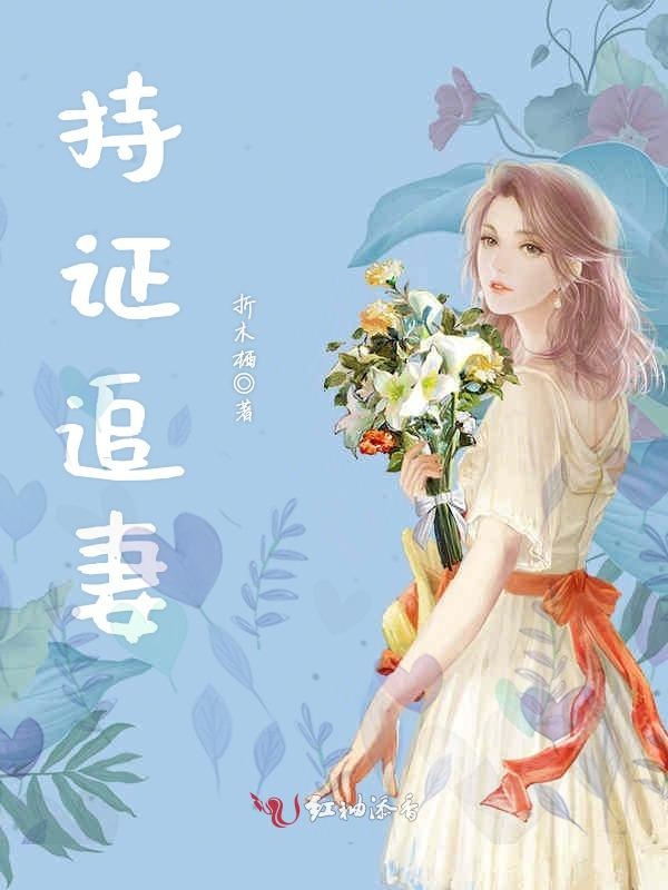 持证追妻