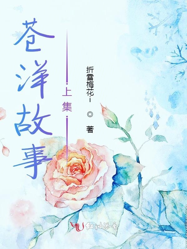 苍洋故事上集 封面
