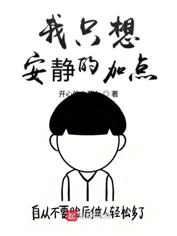 我只想安静的加点 封面