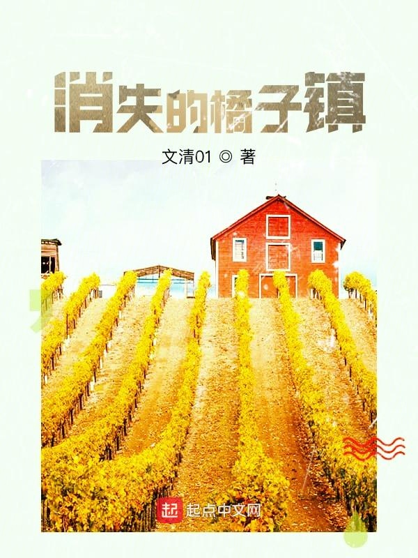 消失的橘子镇 封面