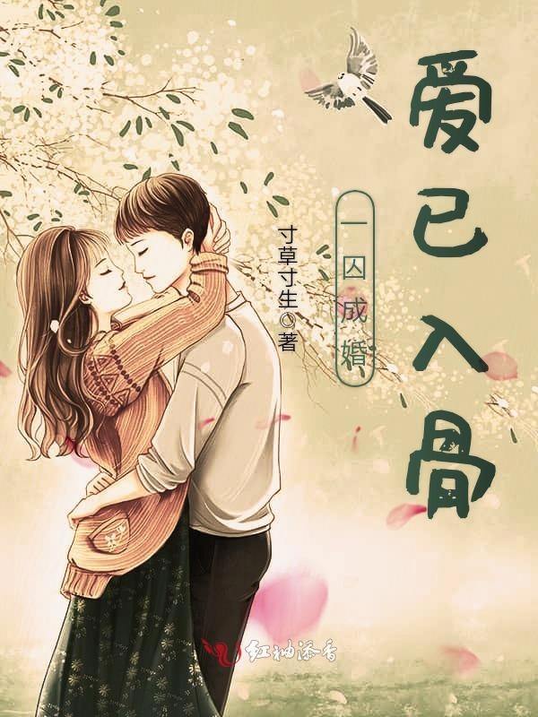 先生,太太又作妖了!