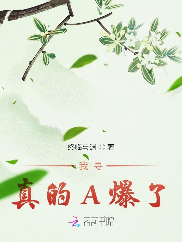 我寻真的A爆了 封面