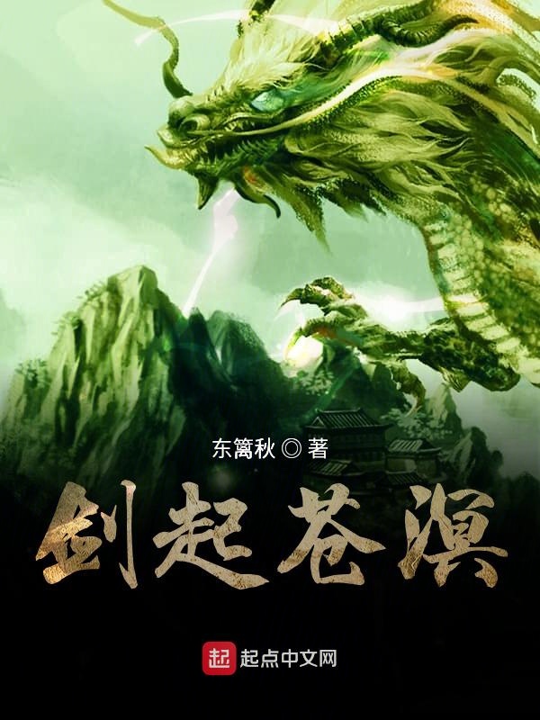 剑起苍溟 封面