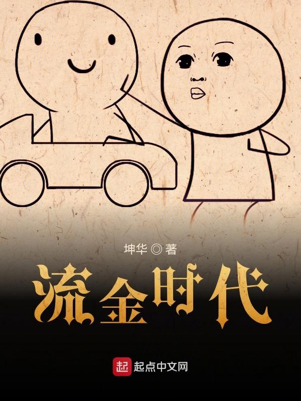 流金时代 封面