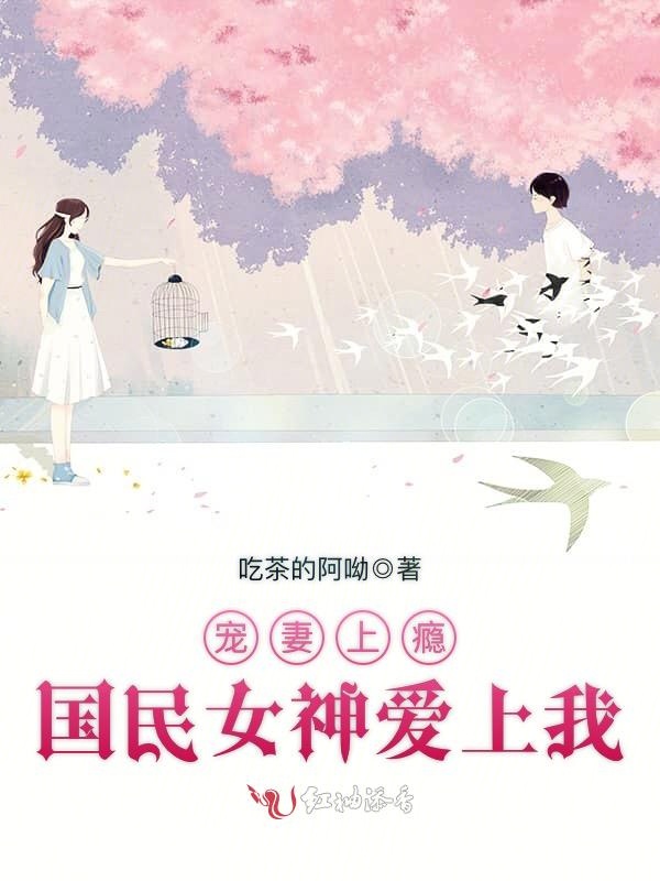 宠妻上瘾，国民女神爱上我