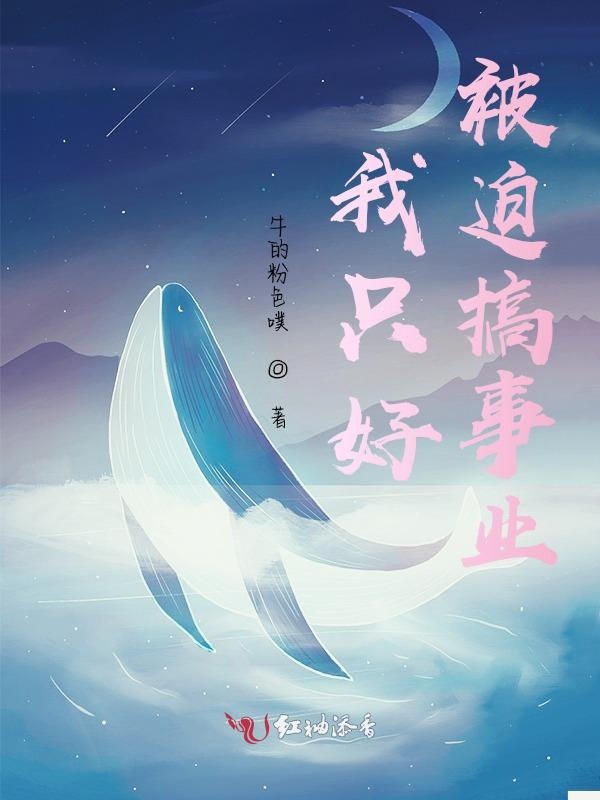 我只好被迫搞事业