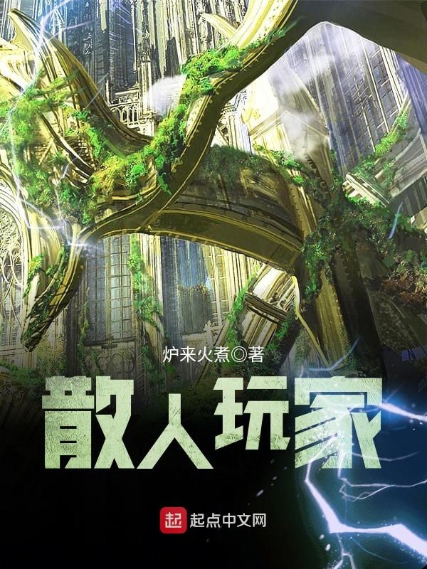 散人玩家 封面