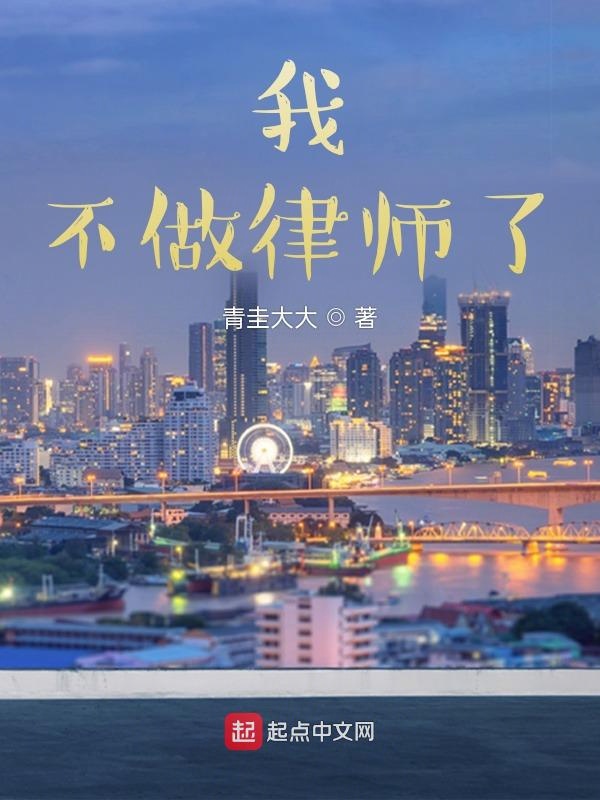我不做律师了 封面