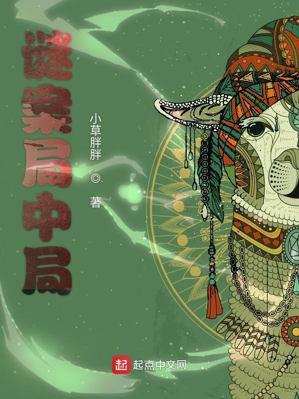 谜案局中局小说封面