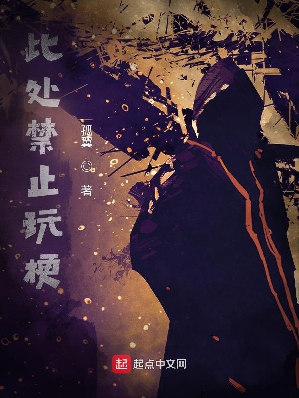 此处禁止玩梗 封面