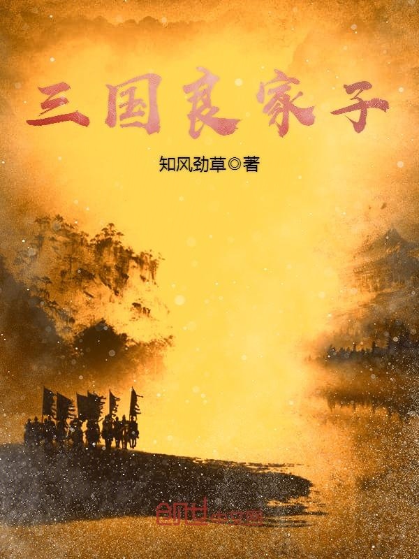三国良家子 封面
