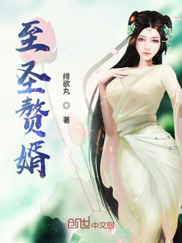 至圣赘婿