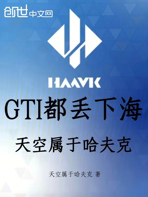 GTI都丢下海，天空属于哈夫克小说封面