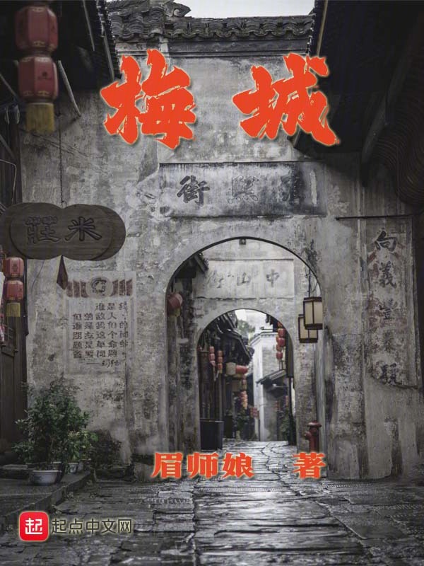 梅城小说封面