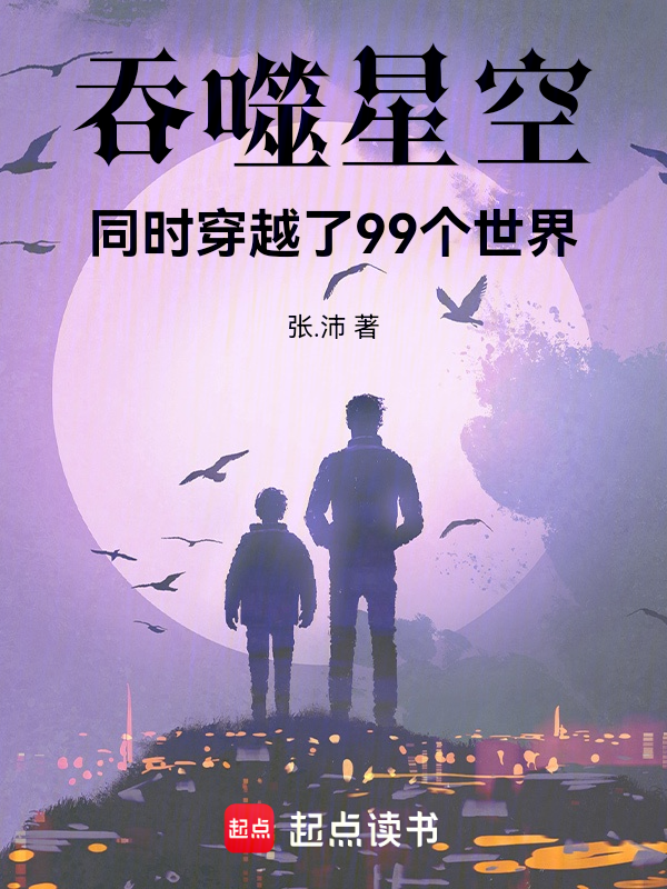 吞噬星空：同时穿越了99个世界小说封面