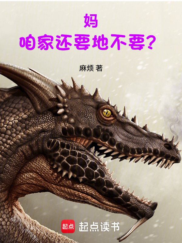 妈，咱家还要地不要？小说封面