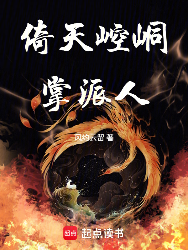 倚天崆峒掌派人小说封面