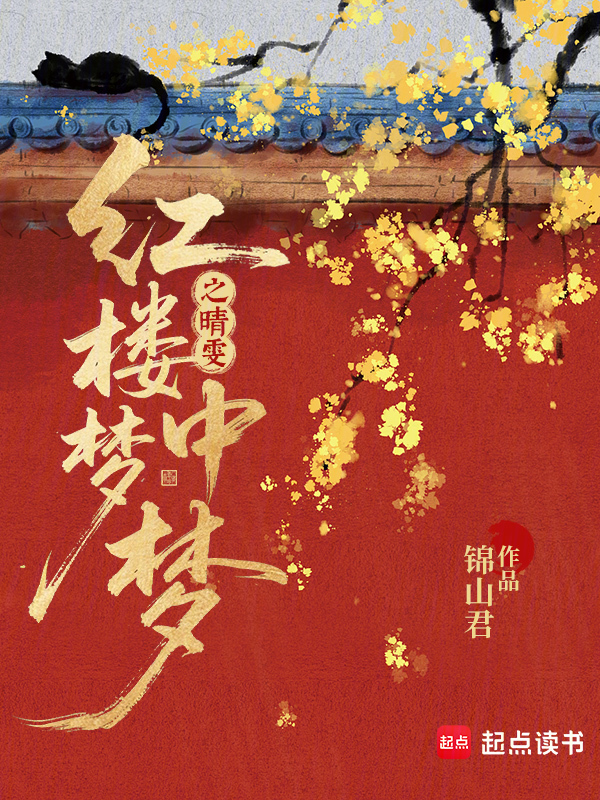 红楼梦中梦之晴雯 封面