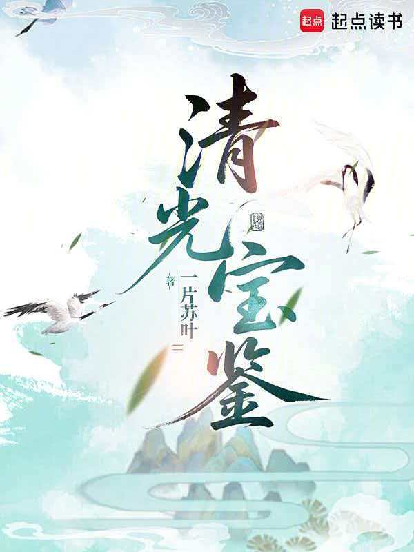 清光宝鉴小说封面