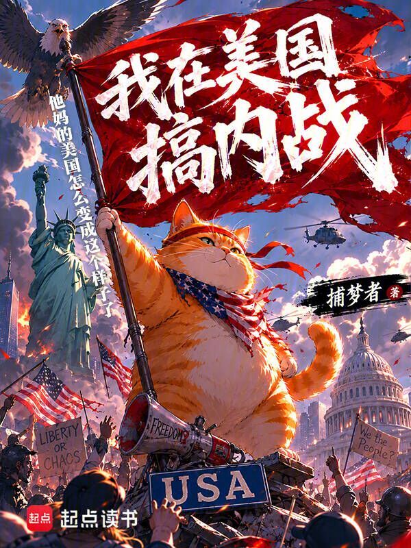 我在美国搞内战小说封面