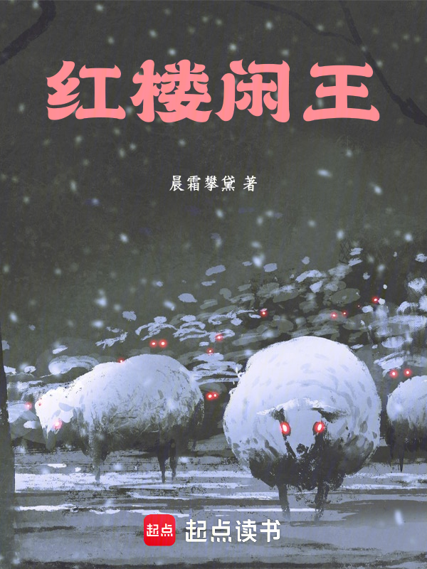 红楼闲王