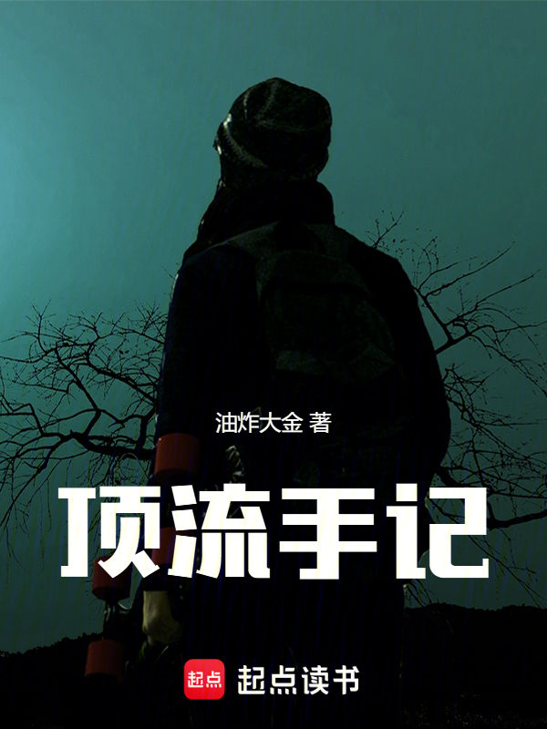 顶流手记小说封面