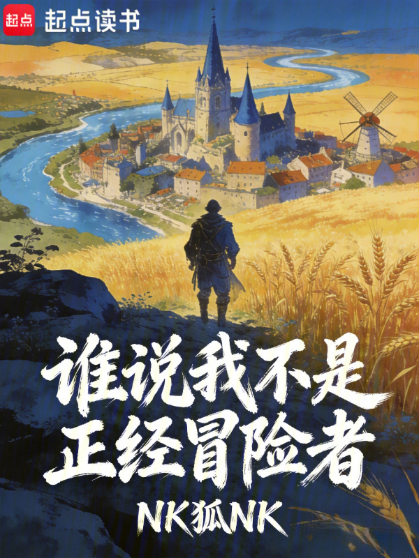 谁说我不是正经冒险者小说封面