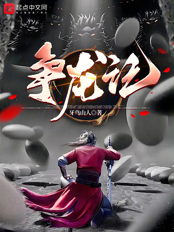 争龙记 封面