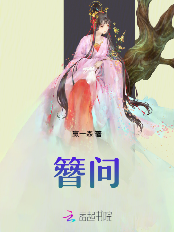 簪问 封面