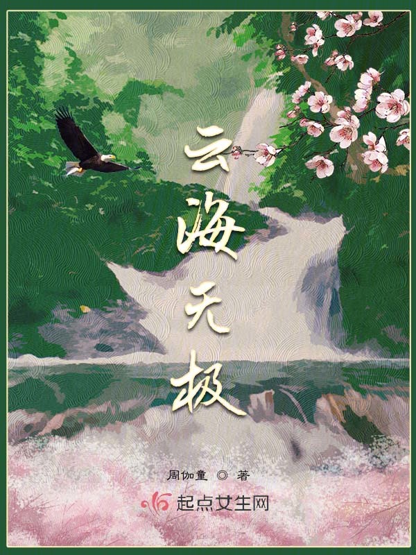 云海无极 封面