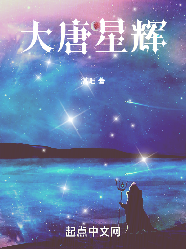 大唐星辉 封面