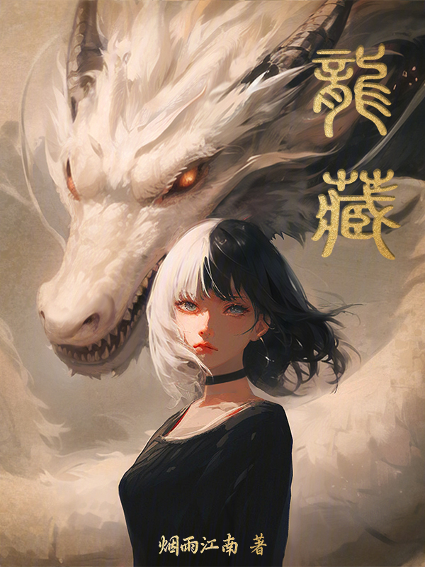 龙藏小说封面