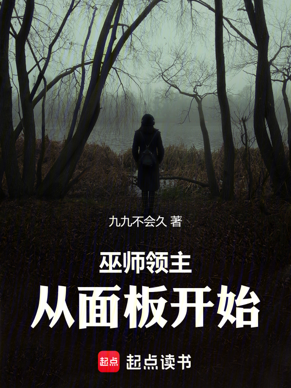 巫师领主：从面板开始 封面