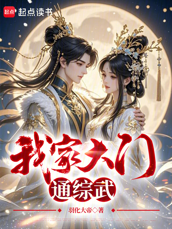 我家大门通综武