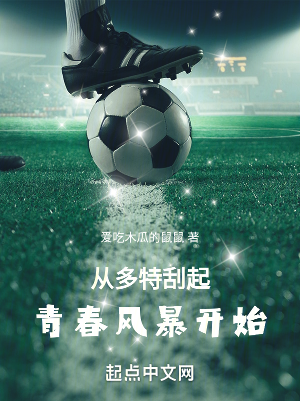 从多特刮起青春风暴开始 封面