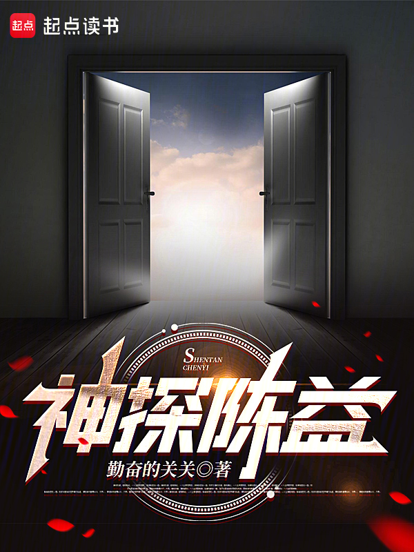 神探陈益小说封面