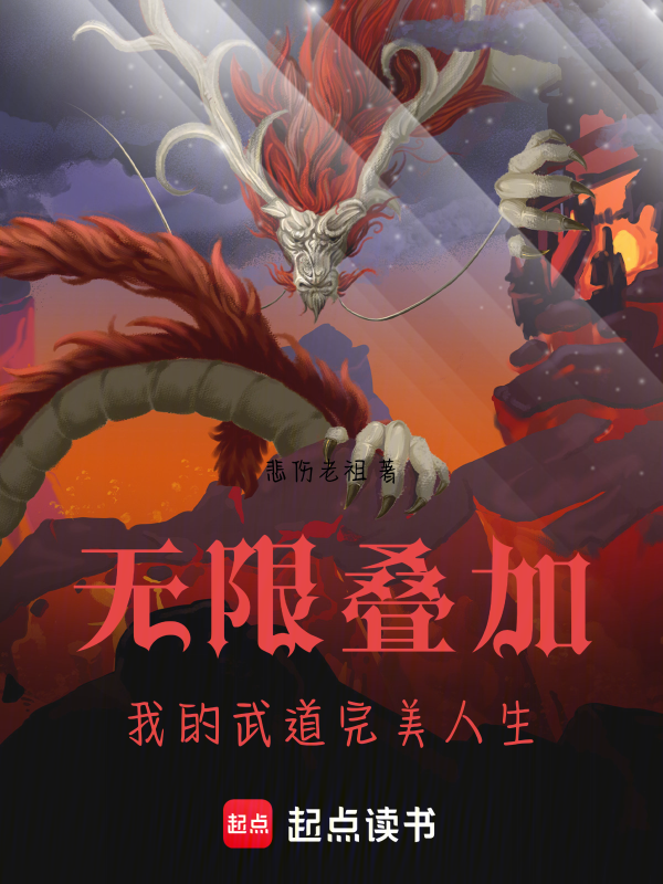 无限叠加:我的武道完美人生