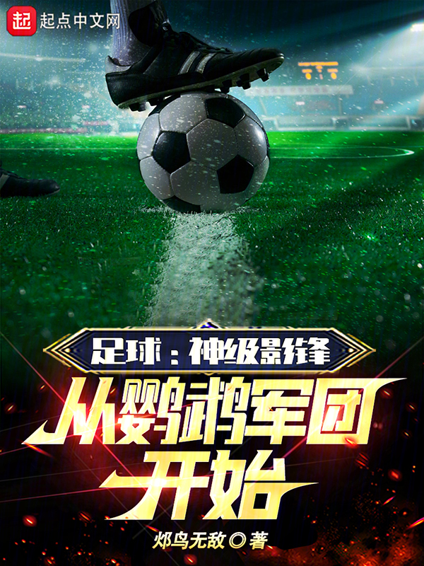 足球:神级影锋,从鹦鹉军团开始 封面