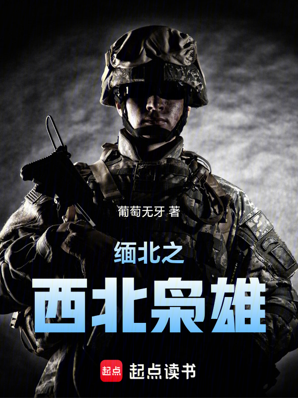 缅北之西北枭雄小说封面