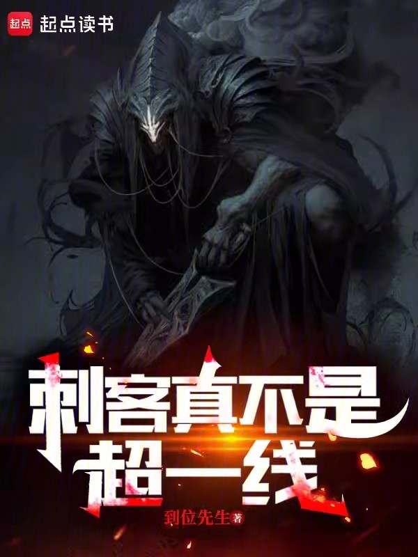 刺客真不是超一线 封面